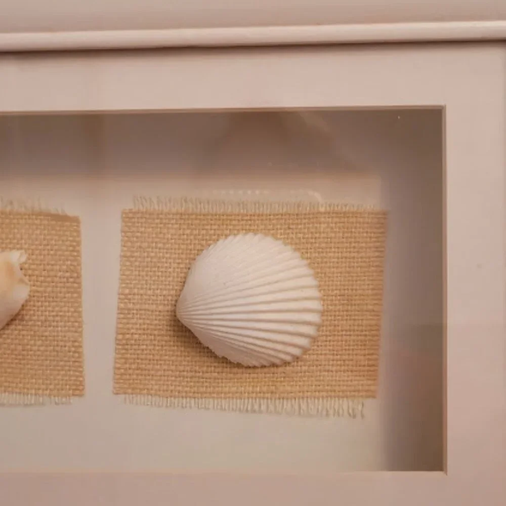 Sea Shell Shadow Boxes - Picture 5 of 11
